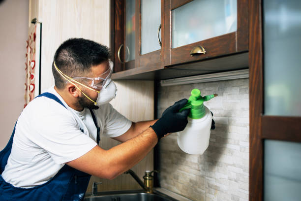 Best Best Pest Control Near Me  in Putney, GA