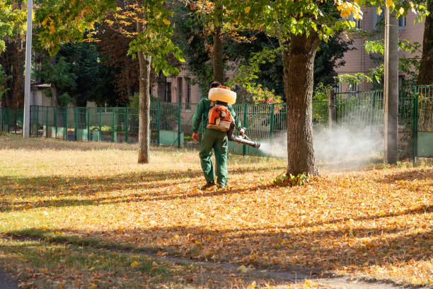 Best Pest Removal Services  in Putney, GA