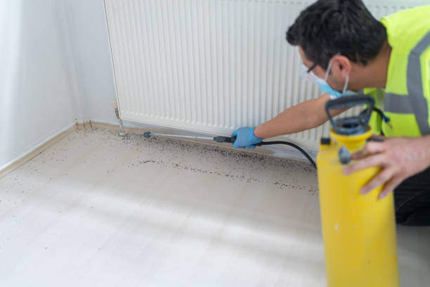 Best Cockroach Control Services  in Putney, GA